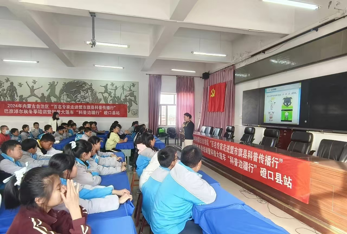 图片7
