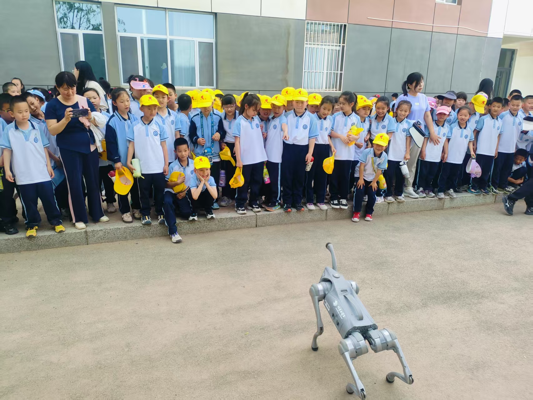 微信图片_20250521062610