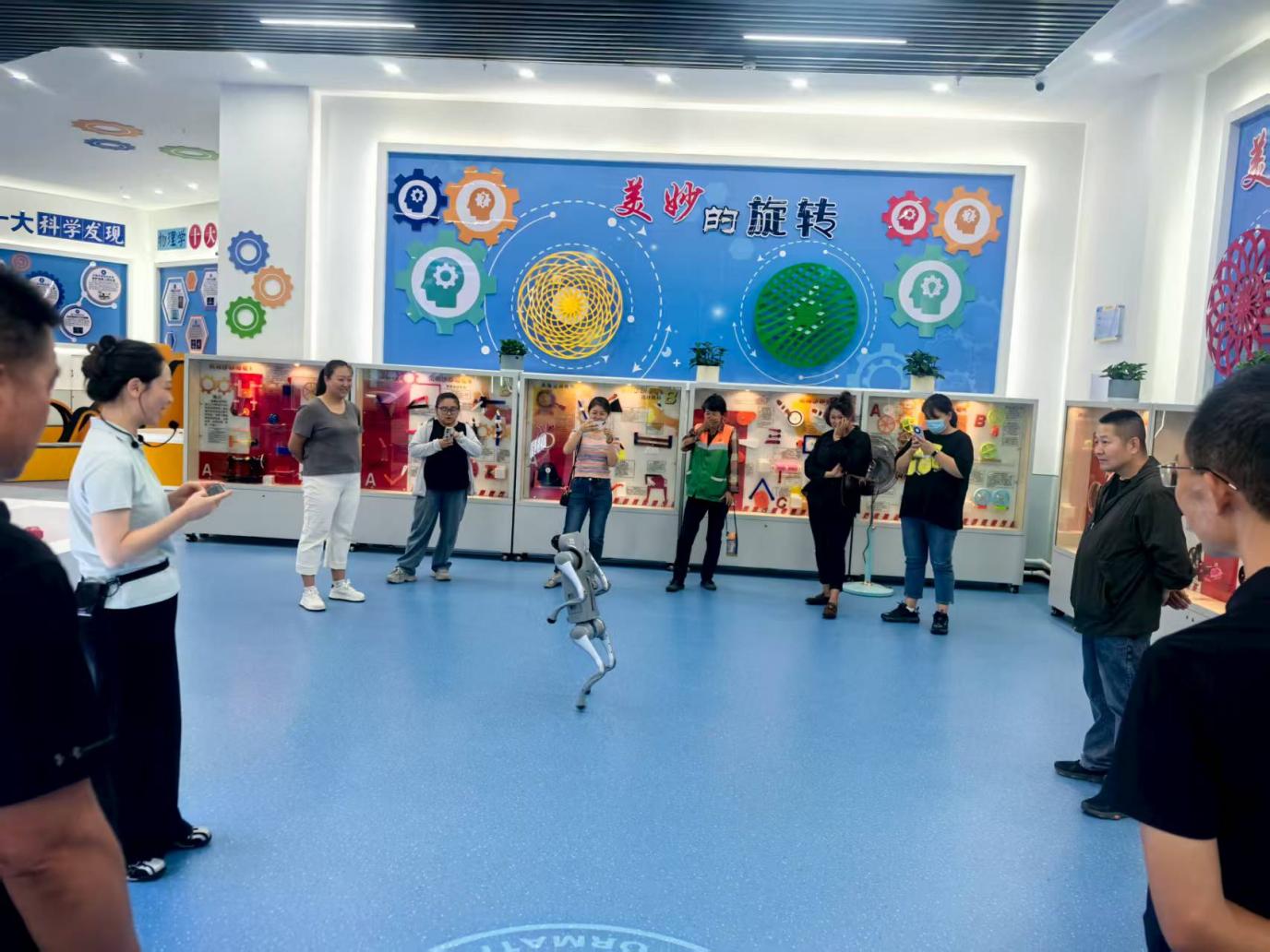 园林局7 园林局7