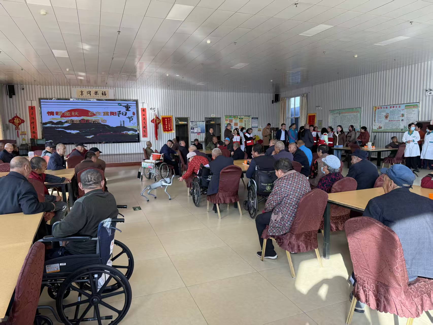 65ae6869a80157a71d313860dc6799d0