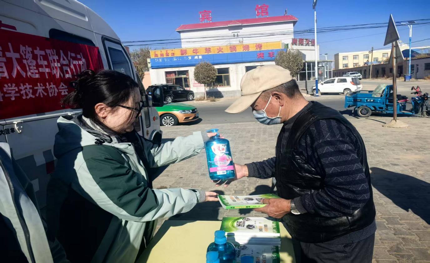 大篷车5 大篷车5