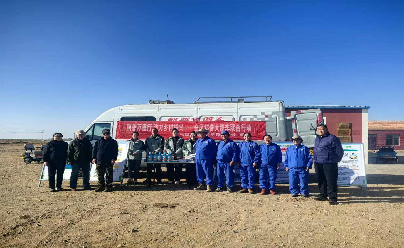 大篷车6 大篷车6