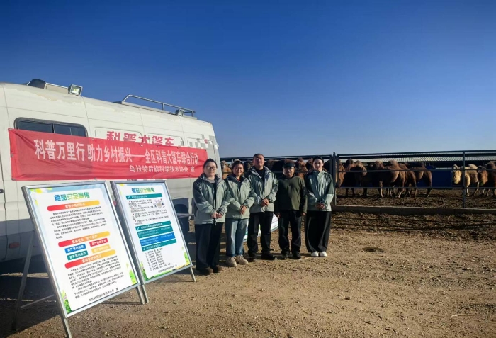 大篷车7 大篷车7